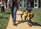 #фото дня | Глава Amazon выгулял собаку-робота Boston Dynamics
