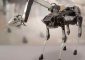 Видео дня: робот Boston Dynamics открывает двери для себя и сородичей»